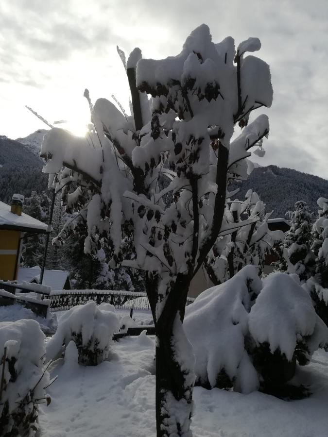 Il Nido B&B Villa d'Allegno Exterior photo